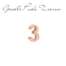 Elemento Numero 3 Rosa Rue Des Mille Per Bracciale Carousel Ref. Xrn3  Numeri e Lettere