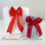 Sacchettino porta confetti laurea MASR052   Comunione Cresima