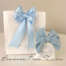 Sacchetto porta confetti claraluna battesimo bimbo 23703  Battesimo